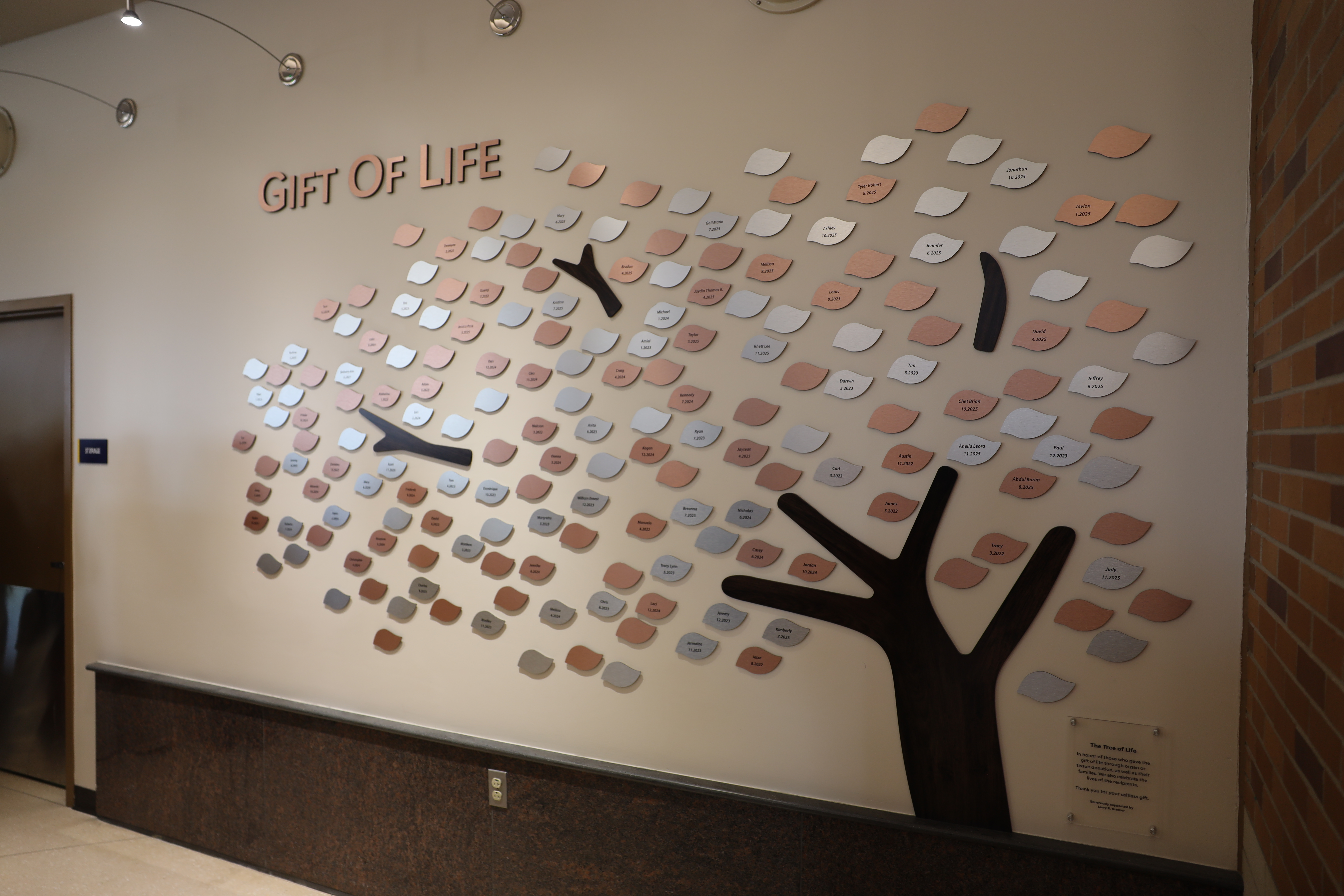 Gift of Life Michigan adds 26 names to donor memorial tree