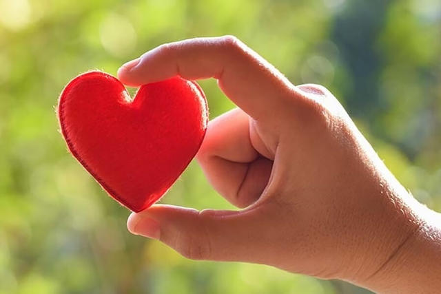 Hand holding heart shape