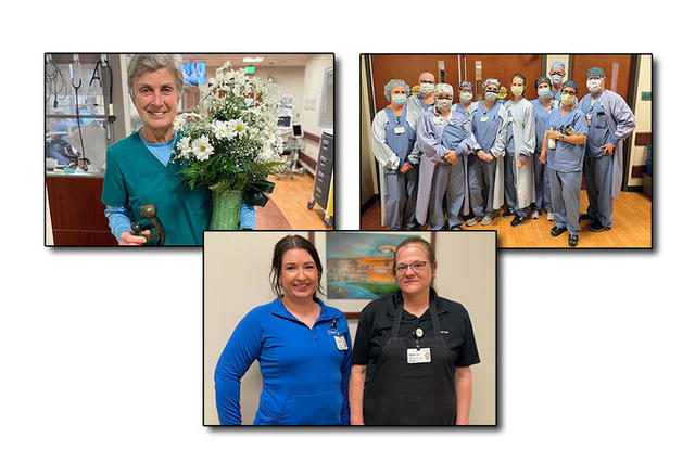 Ionia Caregivers DAISY and BEE Awards 2023 - Teaser