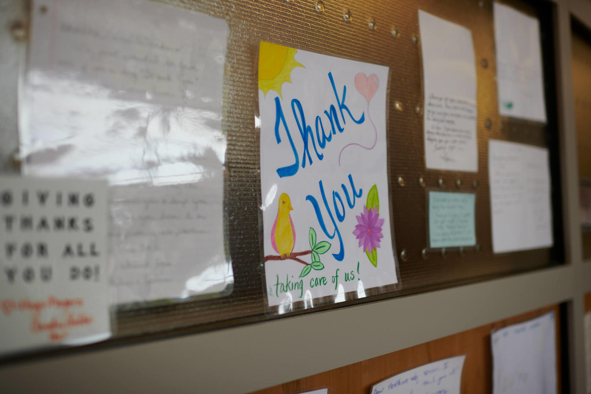 Foundation Thank You